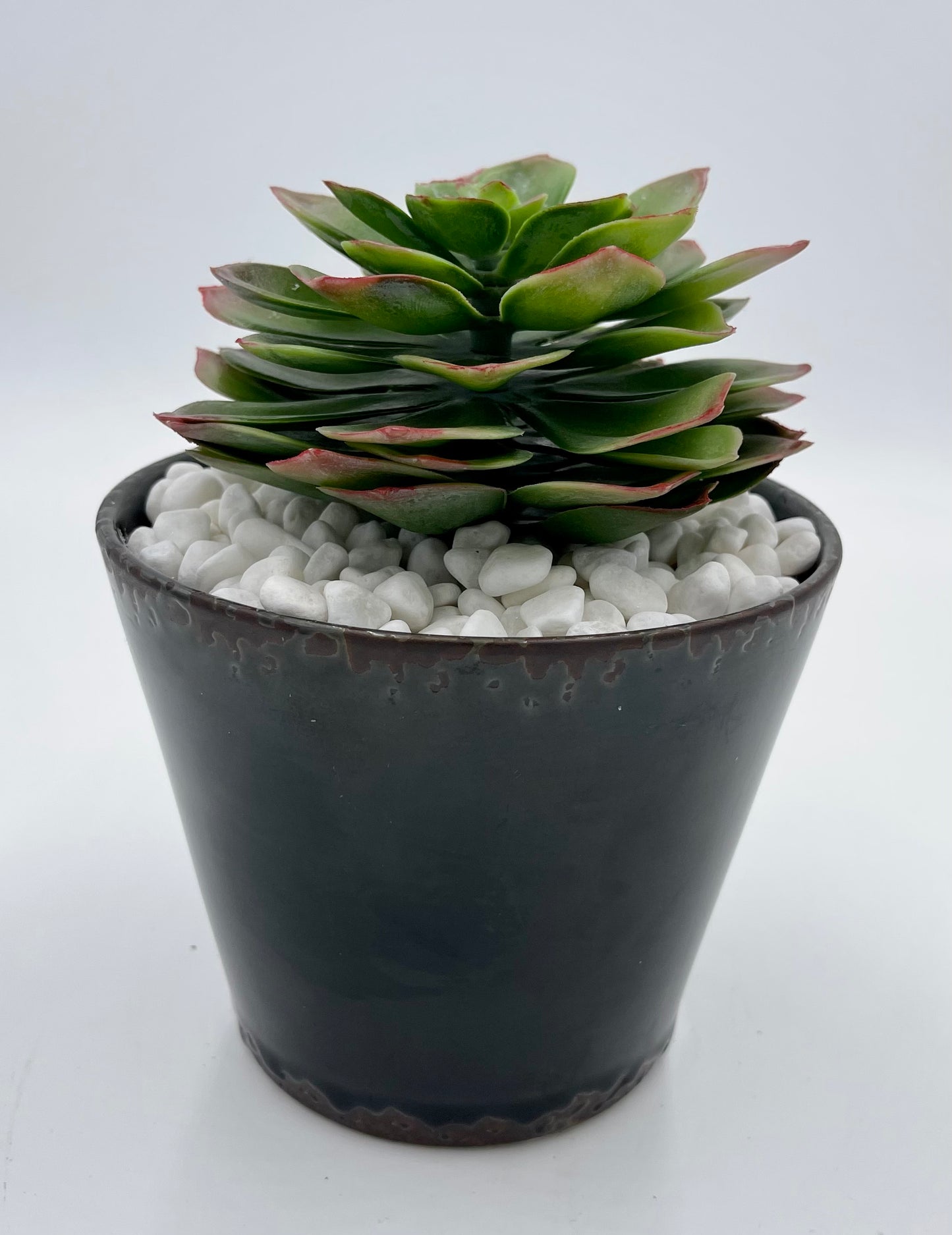 Artificial Succulent