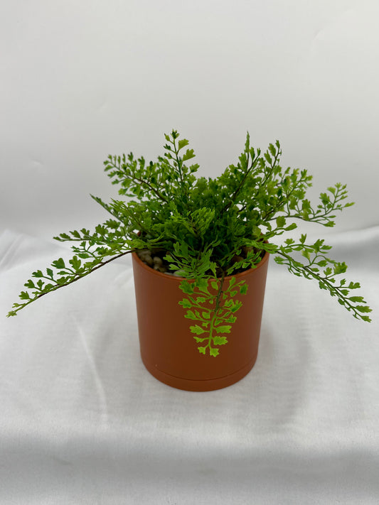 Artificial Fern [PLANT ONLY]