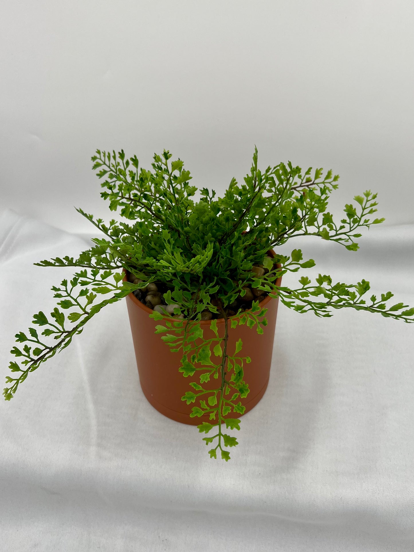 Artificial Fern [PLANT ONLY]